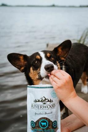 Riverwood Zachte trainers - Afbeelding 6