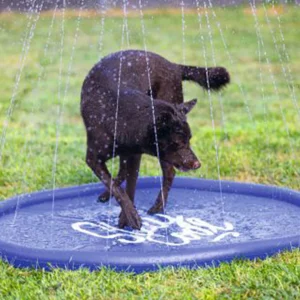 Sprinkler Mat Stay Cool (M en L)