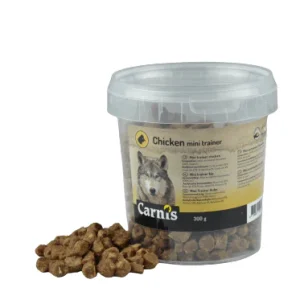 Carnis Mini trainers kip
