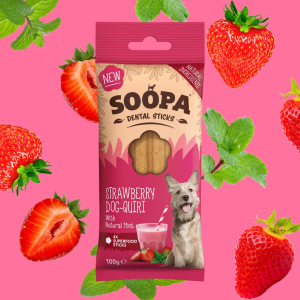 Soopa – Hond – Hondensnack – Dental sticks – Strawberry Dog-Queri