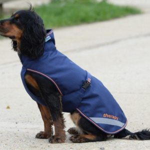 Bucas Therapy dog rug
