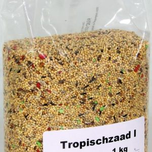 Tropisch zaad I