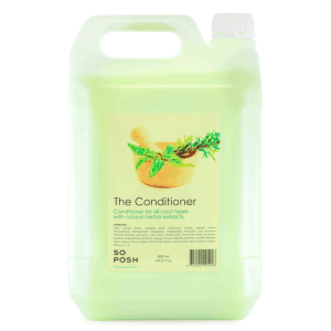 THE CONDITIONER – BASISLIJN 5 LITER