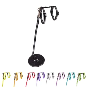 Rogz Catz AlleyCat Tuig+Lijn