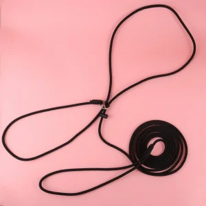 fotografie-halster/halsband