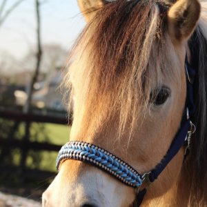 Halster Navy Handmade Full