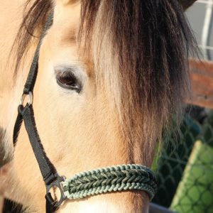 Halster Zwart Groen Handmade COB