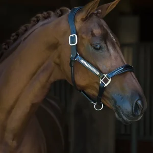 HB Showtime Lederen halster Lorenzo