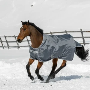 Smartex Medium Big Neck