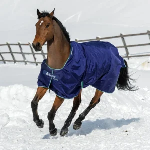 Smartex Extra Big Neck Blue