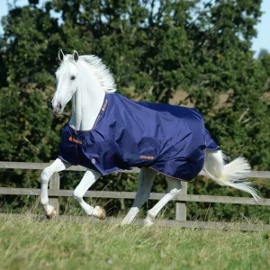 Bucas Therapy Turnout Light