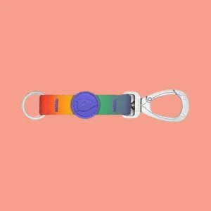 Gerecyclede Keycord Sleutelhanger | Levendige Regenboogkleuren