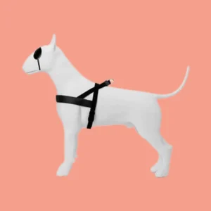 Noors Hondentuig | Gerecycled Materiaal - Zwart, Verstelbaar