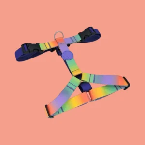 Morso H-tuig Hondentuig | Gerecycled Spring Blossom Regenboog Kleuren