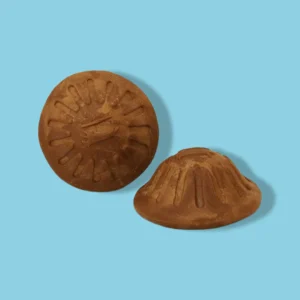 Starmark Everlasting Treat | Duurzame Hondenkluif met Vega Kip Smaak