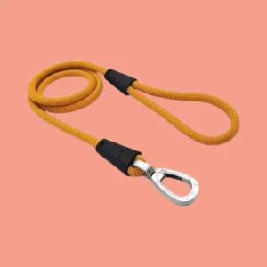 Gouden Hondenriem van Gerecycled Touw | Zwarte Accent & Zilveren Clip