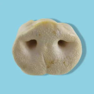 Gedroogde Varkensneuzen | Natuurlijke Petsnack voor Honden