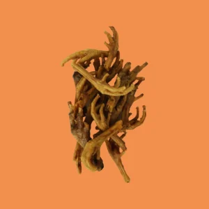 Petsnack - Kippenpoten Gerookt Bruin Hondensnack 1 kg