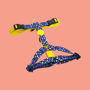 Morso H-Tuig voor Honden – Gerecycled Color Invaders | Paars met Stippenpatroon