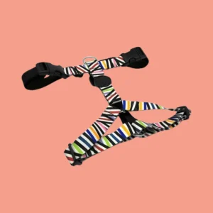 Morso H-tuig Hondentuig – Speels Gestreepte Kleuren uit Gerecycled Spaghetti