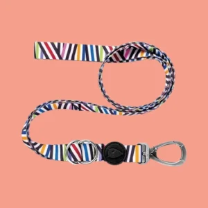 Morso Hondenriem 'Spaghetti Incident' – Verstelbaar, Gerecycled & Gestreepte Patroon