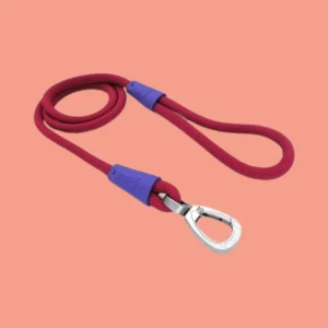 Morso Hondenriem van Gerecycled Touw – Rood met Zilveren Clip