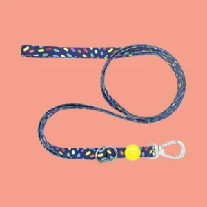 Morso Hondenriem Verstelbaar & Gerecycled | Color Invaders - Paars