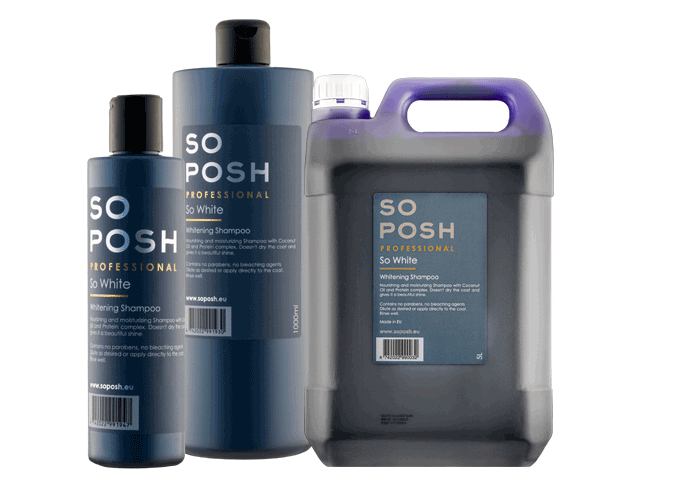 SO WHITE SHAMPOO